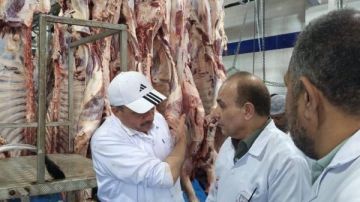 بيطري الشرقية ينهي نحر 1129 أضحية بالمجان في أول أيام عيد الأضحى