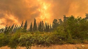 هشام الحلبي: كان يجب على إيران قصف المطارات العسكرية في إسرائيل