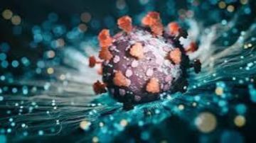 هل متحور نيمبوس أخطر من كورونا؟ أشرف عقبة يوضح