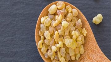 بديل طبيعي للمسكنات.. فوائد مذهلة لزيت لبان الدكر