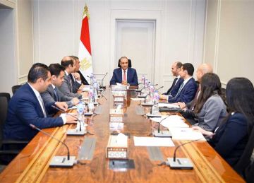 وزير الخارجية يشدد على أهمية ترسيخ الحضور المصري الفاعل على الساحة الإفريقية