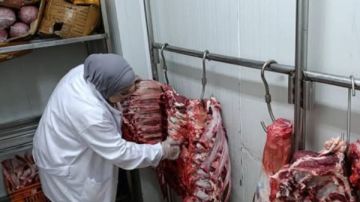 الزراعة: ضبط 122 طنا من اللحوم الفاسدة وتحرير 1500 محضر مخالفات الزراعة: ضبط 122 طنا من اللحوم الفاسدة وتحرير 1500 محضر مخالفات