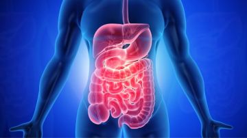 خبير هضم من هارفارد وستانفورد يوصي..7 أطعمة تعيد التوازن لأمعائك وتحسن الهضم والمزاج