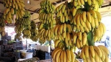 شعبة الخضروات: سعر الموز يتراوح بين 32-35 جنيها.. لا يمكن أن يباع بـ 50