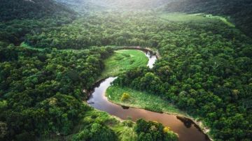 شنايدر إلكتريك تحقق أعلى مؤشرات الأداء البيئي والاجتماعي عالميا