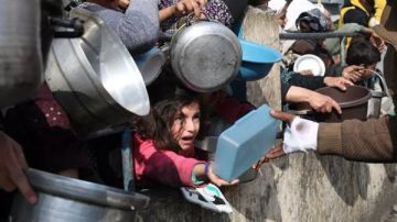 الأغذية العالمي : واحد من بين 3 في غزة يمضي أياما دون تناول أي طعام الأغذية العالمي : واحد من بين 3 في غزة يمضي أياما دون تناول أي طعام