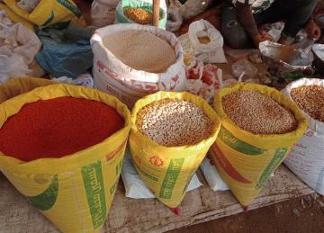 العدس بـ80 جنيها.. أسعار الأرز والحبوب في الشرقية اليوم الأحد 27 يوليو 2025