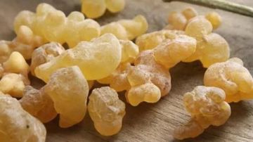 يعالج التهاب المفاصل .. 5 فوائد غير متوقعة لـ لبان الدكر