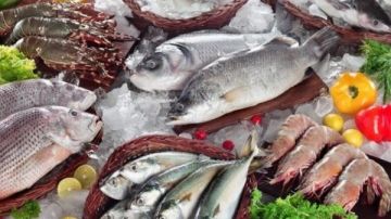 البلطي بـ 130 جنيه والبوري بـ 270.. أسعار الأسماك اليوم في الأسواق البلطي بـ 130 جنيه والبوري بـ 270.. أسعار الأسماك اليوم في الأسواق