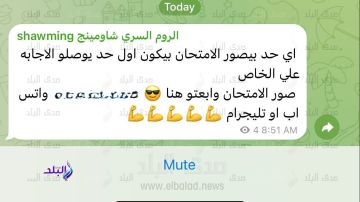 برلماني: جروبات الغش تهدد نزاهة التعليم والثانوية العامة تحتاج إلى تأمين معلوماتي