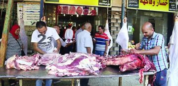 استقرار أسعار اللحوم البلدية والمستوردة في الأسواق المصرية اليوم الثلاثاء 8 يوليو 2025 استقرار أسعار اللحوم البلدية والمستوردة في الأسواق المصرية اليوم الثلاثاء 8 يوليو 2025