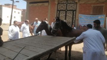 الزراعة تطلق 214 قافلة بيطرية مجانية في 176 قرية خلال يونيو الماضي الزراعة تطلق 214 قافلة بيطرية مجانية في 176 قرية خلال يونيو الماضي