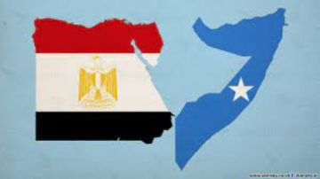 جمال رائف: الشراكة بين مصر والصومال تعزز الأمن والتنمية الاقتصادية