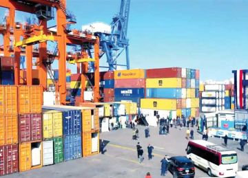  سلامة الغذاء : إصدار 700 شهادة صحية للتصدير خلال أسبوع