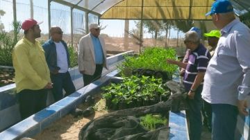 رئيس بحوث الصحراء يتفقد محطة شمال سيناء بالشيخ زويد ويعلن بدء خطة شاملة لإعادة إعمارها رئيس بحوث الصحراء يتفقد محطة شمال سيناء بالشيخ زويد ويعلن بدء خطة شاملة لإعادة إعمارها