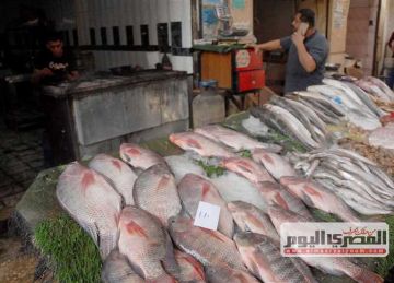 سعر السمك والكابوريا والجمبري بـ الأسواق اليوم الخميس 10 يوليو 2025