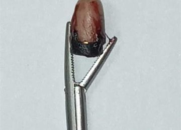 ضبط 6 حالات غش ونقل 3 حالات إغماء في لجان الثانوية ببني سويف