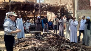 الزراعة: تنفيذ 286 ندوة إرشادية والتعامل مع 5300 شكوى للمزارعين