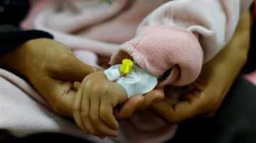 الهلال الأحمر المصري: نركز في المرحلة المقبلة على توفير لبن الأطفال لأهالي غزة الهلال الأحمر المصري: نركز في المرحلة المقبلة على توفير لبن الأطفال لأهالي غزة