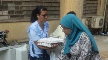 بأسعار مخفضة.. الزراعة تطلق منافذ متنقلة لبيع منتجاتها الغذائية بالجيزة بأسعار مخفضة.. الزراعة تطلق منافذ متنقلة لبيع منتجاتها الغذائية بالجيزة