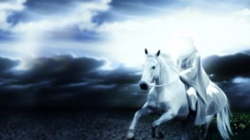 ماذا سيحدث فى زمن الإمام المهدي المنتظر؟ .. علي جمعة يوضح