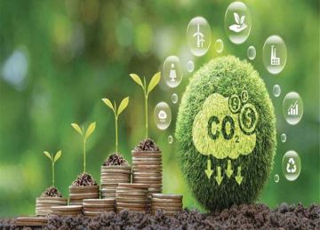 اهتمام دولى متزايد بتوفير تغطيات تأمينية متخصصة لأسواق الكربون