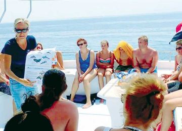 عمالة أجنبية بلا تصاريح تهدد استقرار سوق العمل السياحى فى الغردقة عمالة أجنبية بلا تصاريح تهدد استقرار سوق العمل السياحى فى الغردقة