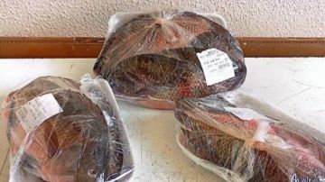 كيلو السمك 65 جنيها.. زراعة عين شمس تطرح منتجات طازجة وعالية الجودة داخل الحرم الجامعي كيلو السمك 65 جنيها.. زراعة عين شمس تطرح منتجات طازجة وعالية الجودة داخل الحرم الجامعي