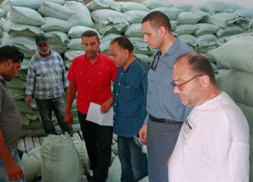 حملة مكبرة تغلق 6 مطاعم في رأس البر والسبب اغنية فاسدة