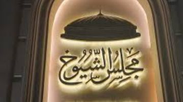 التشريع يحسمها.. لماذا لن يتمكن الجميع من دخول سباق الشيوخ؟ التشريع يحسمها.. لماذا لن يتمكن الجميع من دخول سباق الشيوخ؟