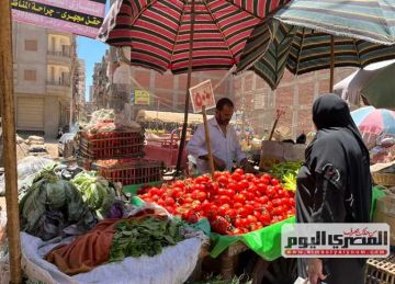 الكوسة بـ10 جنيهات والبامية بـ40.. أسعار الخضار في أسواق الإسكندرية اليوم الثلاثاء 15 يوليو 2025