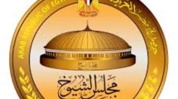 برلماني: وعي المصريين صمام الأمان لاستقرار الدولة وتقدمها