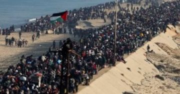 صحة الشيوخ: إدخال مئات الشاحنات إلى غزة يعكس دعم الدولة المصرية صحة الشيوخ: إدخال مئات الشاحنات إلى غزة يعكس دعم الدولة المصرية