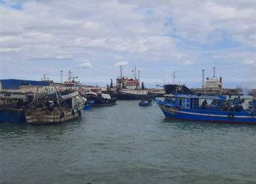 بعد توقف شهرين.. استئناف نشاط الصيد من رأس غارب حتى حلايب وشلاتين بالبحر الأحمر من الغد