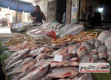 سعر السمك البلطي والكابوريا والجمبري بالأسواق اليوم الجمعة 25 يوليو 2025 سعر السمك البلطي والكابوريا والجمبري بالأسواق اليوم الجمعة 25 يوليو 2025