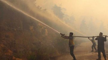 الحرائق في ريف اللاذقية تدخل مرحلة الحسم وفرق الإطفاء توقف تمدد النيران بجميع المحاور