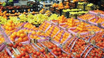 رقم قياسي..الصادرات الزراعية المصرية تتجاوز 6.2 مليون طن