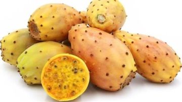 هل التين الشوكي يرفع السكر؟.. تفاصيل صادمة