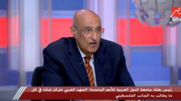 دبلوماسي: الجهد العربي المجمع حقق نتائج إيجابية لصالح القضية الفلسطينية