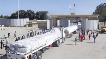 قافلة إنسانية خامسة من مصر إلى غزة تحمل 6 آلاف طن مساعدات