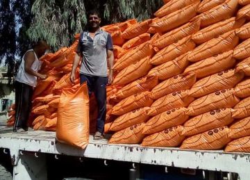 مزارعو الإسكندرية يشكون ارتفاع أسعار الأسمدة الأزوتية.. و الزراعة : حصتنا 1000 شيكارة شهريا