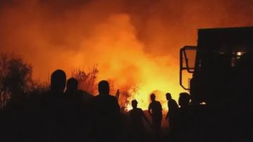 حرائق حماة واللاذقية تلتهم آلاف الهكتارات .. جهود إطفاء مشتركة ودعم دولي عاجل حرائق حماة واللاذقية تلتهم آلاف الهكتارات .. جهود إطفاء مشتركة ودعم دولي عاجل