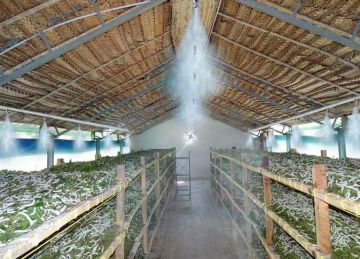 خبراء الضرائب: حزمة الحوافز تسهم في تحويل مصر لثالث أكبر منتج للحرير في العالم