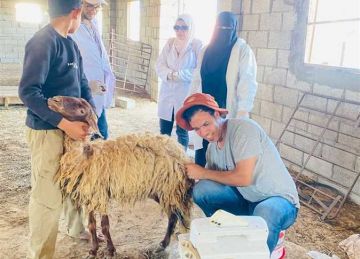 قافلة بيطرية متكاملة بمركز رفح بشمال سيناء