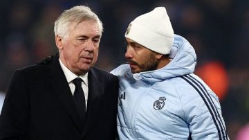 بوتافوجو يعين نجل أنشيلوتي مديرا فنيا للفريق بوتافوجو يعين نجل أنشيلوتي مديرا فنيا للفريق