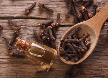 من تنظيم مستويات السكر لتحسين الهضم.. تعرف على فوائد القرنفل الصحية