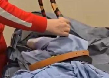 منها كوبرا بخاخ .. جمارك مطار القاهرة تحبط محاولة تهريب عقارب وثعابين وحشرات (تفاصيل) منها كوبرا بخاخ .. جمارك مطار القاهرة تحبط محاولة تهريب عقارب وثعابين وحشرات (تفاصيل)