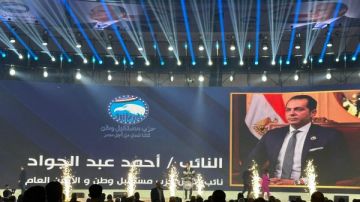 سلوى عثمان وأحمد فؤاد سليم يدعوان المصريين للمشاركة في انتخابات الشيوخ