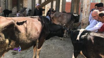 مصادرة 256 عبوة أدوية بيطرية متنوعة الأصناف مجهولة المصدر بالغربية