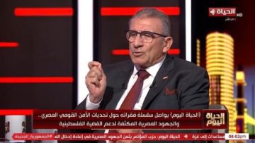 خبير سياسي : القضية الفلسطينية في صميم أولويات الأمن القومي المصري